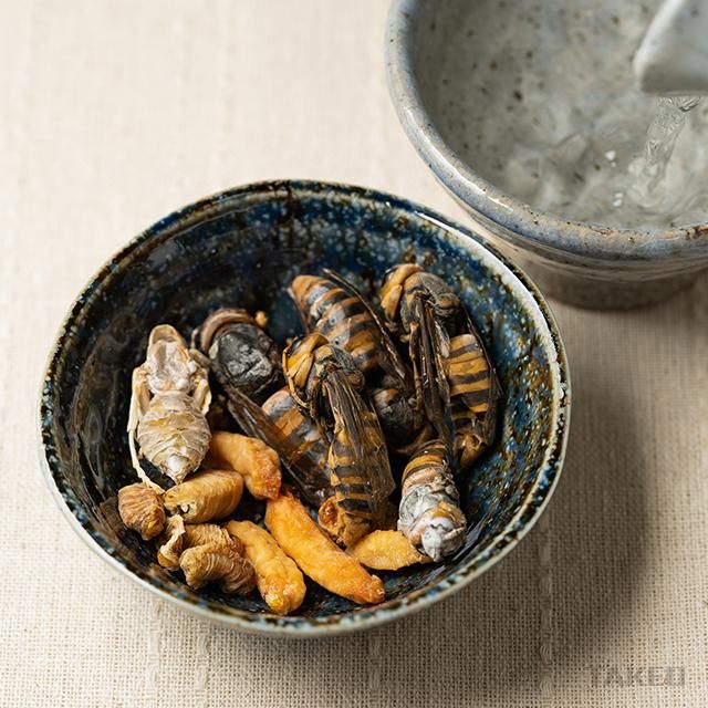 宮崎スズメバチ | 自然あふれる里山の味わい - 昆虫食のTAKEO｜通販