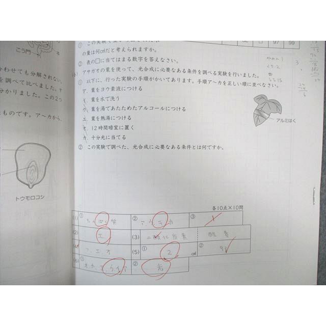 SAPIX 小6 サピックス SS特訓 理科 【全11回分フルセット】 2022