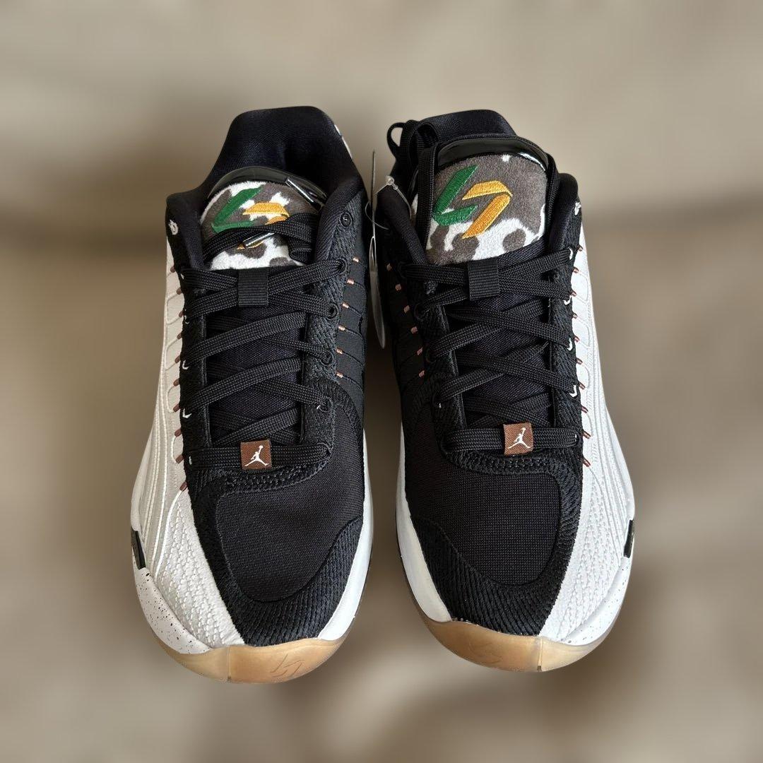 ナイキ ジョーダン ルカ4 GONE PF LUKA 4 PF 26cm Nike Jordan Luka 4 Gone PF Luka Doncic Gone Fishing Men Basketball