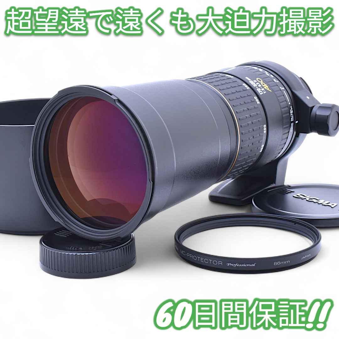 レンズ(ズーム) Sigma APO 170-500mm F5-6.3 D Nikon #9107 Amazon | SIGMA シグマ APO 170-500mm F5-6.3D for Nikon | カメラ用